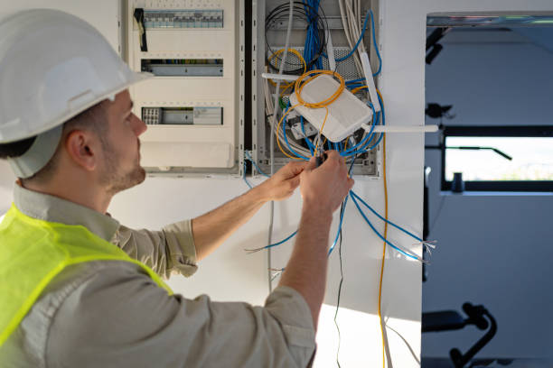 Best Electric Panel Repair  in Hanamaulu, HI